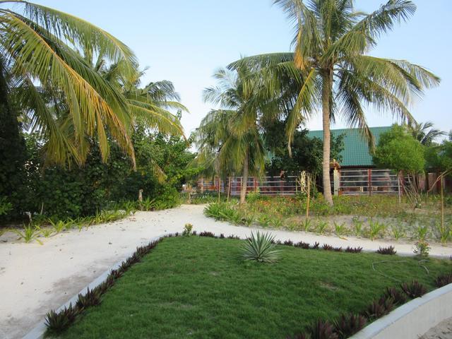 фотографии отеля Furaveri Island Resort & Spa изображение №59