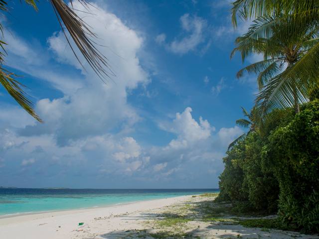 фото отеля Furaveri Island Resort & Spa изображение №49