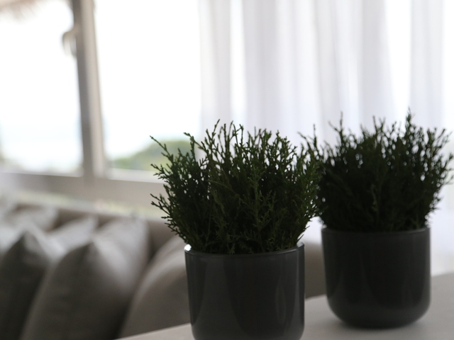 фото отеля Anilana Pasikudah изображение №45