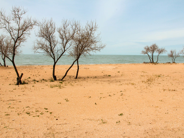 фото La Grace изображение №2