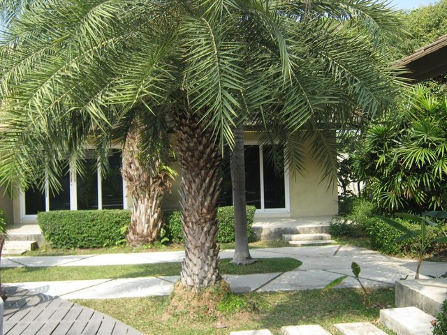 фотографии East Sea Resort New Wing изображение №8