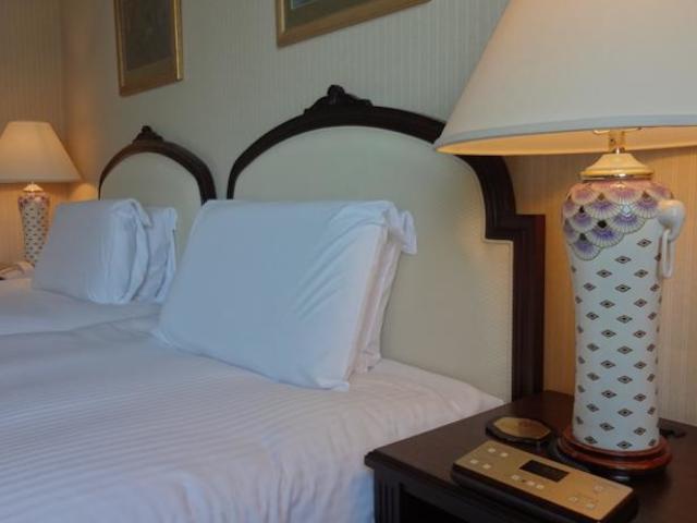 фото Dai-ichi Hotel Tokyo изображение №18