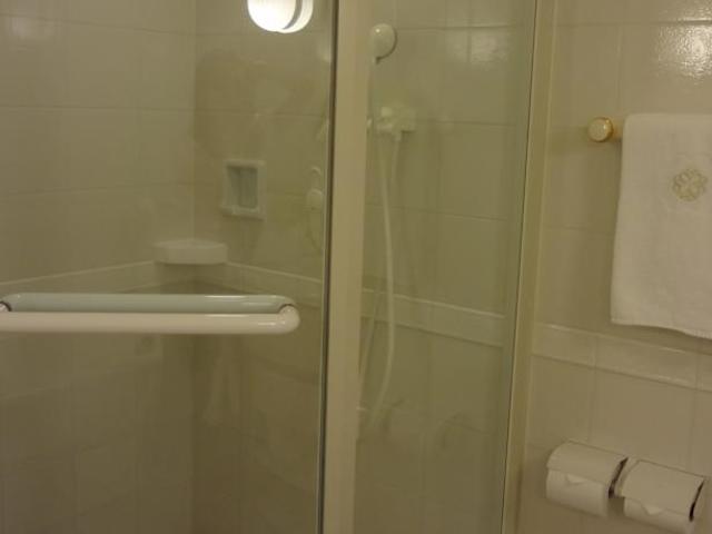 фотографии отеля Dai-ichi Hotel Tokyo изображение №15