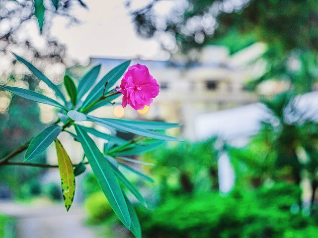 фотографии Госдача Мюссера (ex. Дача Горбачева) изображение №80