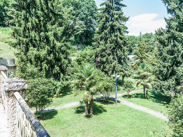 фото отеля Госдача Мюссера (ex. Дача Горбачева) изображение №69