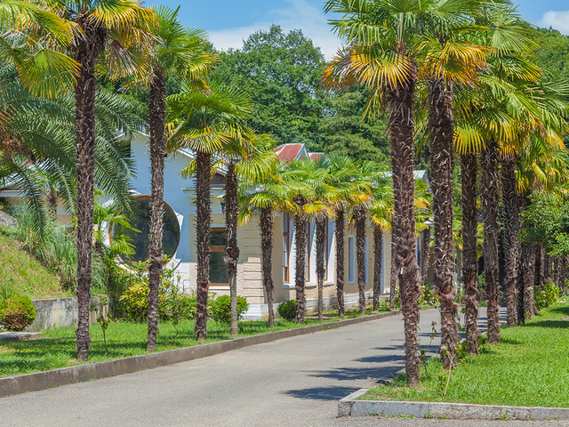 фотографии отеля Госдача Мюссера (ex. Дача Горбачева) изображение №63