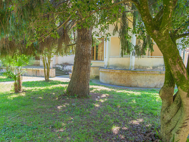 фотографии отеля Госдача Мюссера (ex. Дача Горбачева) изображение №59