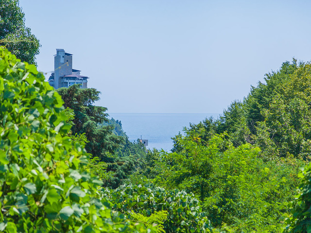 фото Госдача Мюссера (ex. Дача Горбачева) изображение №58