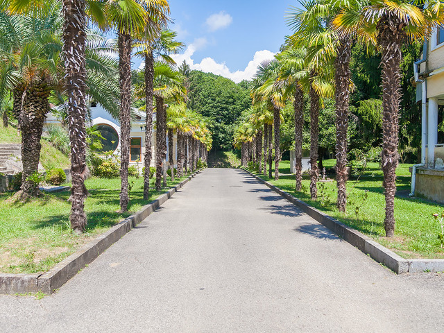 фотографии отеля Госдача Мюссера (ex. Дача Горбачева) изображение №55