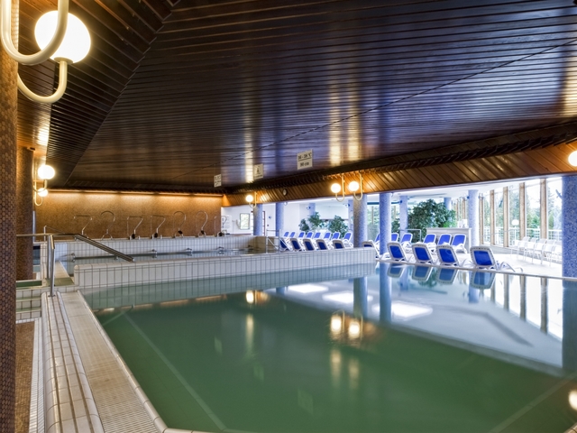 фотографии отеля Ensana Thermal Aqua Health Spa (ex. Danubius Health Spa Resort Aqua) изображение №19