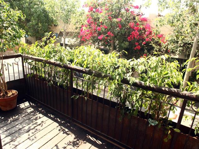 фотографии отеля Trieste Neve Tzedek Boutique Suites (ex. Trieste Boutique Concept Suites Neve Tzedek) изображение №31