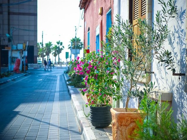 фотографии отеля Trieste Neve Tzedek Boutique Suites (ex. Trieste Boutique Concept Suites Neve Tzedek) изображение №23