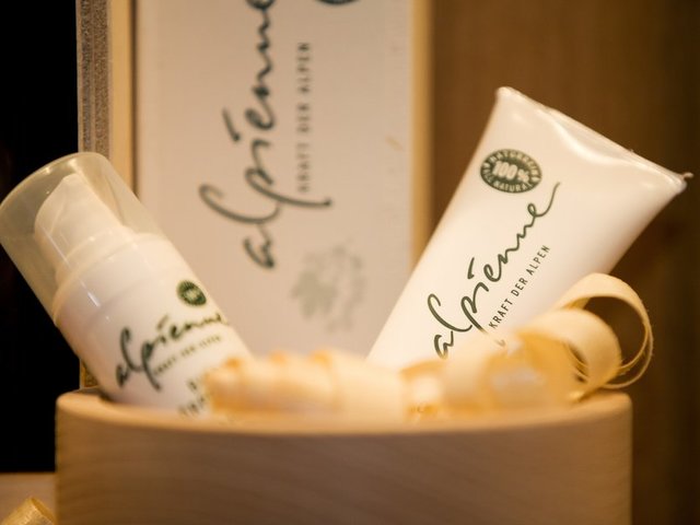 фото отеля Mignon hotel Selva Gardena изображение №89