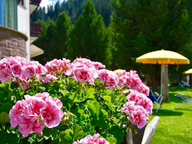 фотографии Mignon hotel Selva Gardena изображение №16