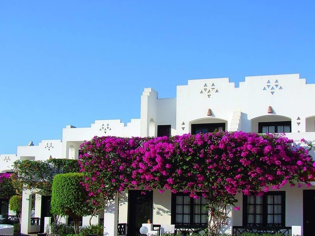 фото Verginia Sharm Resort & Aqua Park (ех. Verginia Sharm; Sol Verginia) изображение №18