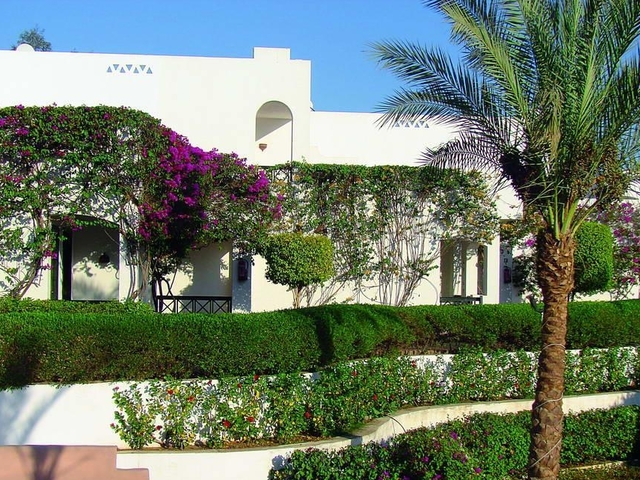 фото отеля Verginia Sharm Resort & Aqua Park (ех. Verginia Sharm; Sol Verginia) изображение №21