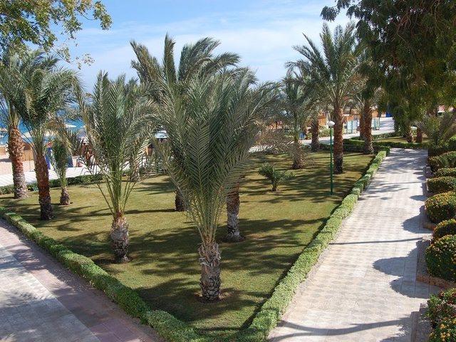 фотографии Menaville Safaga изображение №64