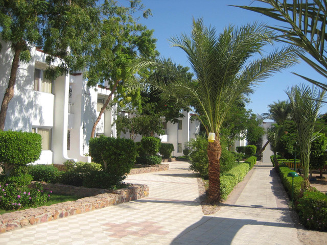 фото отеля Menaville Safaga изображение №61