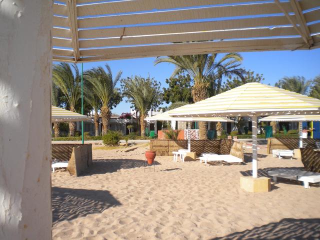 фотографии Menaville Safaga изображение №44