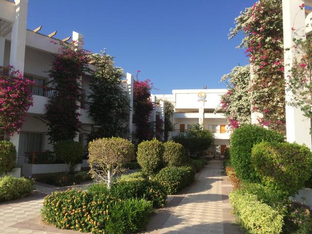 фото отеля Menaville Safaga изображение №37