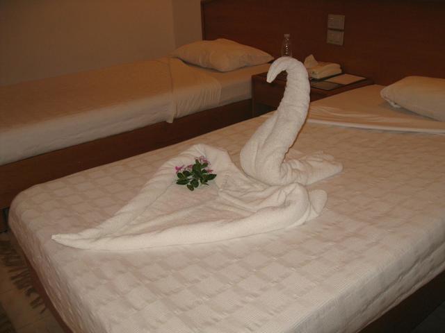 фотографии Menaville Safaga изображение №24