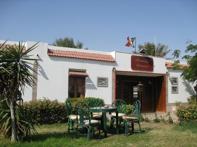 фотографии отеля Menaville Safaga изображение №23