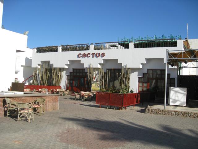 фото Menaville Safaga изображение №18