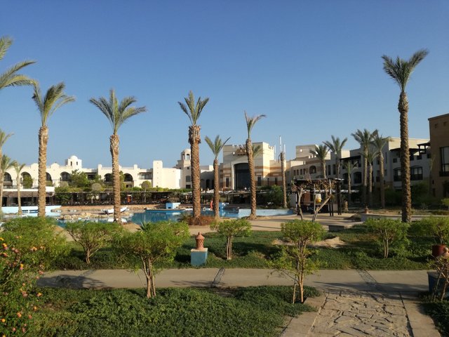 фотографии Albatros Sands Port Ghalib (ex. Port Ghalib Resort; Crowne Plaza Sahara Oasis Port Ghalib) изображение №8