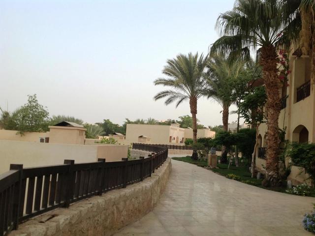 фотографии Red Sea The Grand Hotel Sharm El Sheikh изображение №48