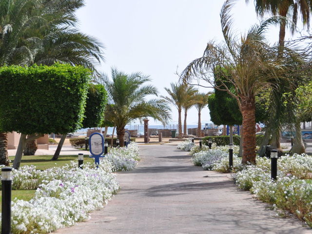 фотографии отеля Pharaoh Azur Resort (ех. Sonesta Pharaoh Beach Resort; Melia Pharaon) изображение №43