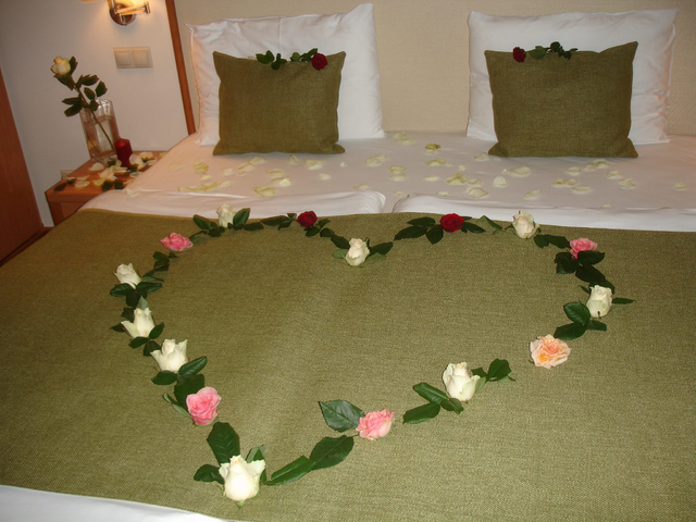 фотографии отеля Hotel Castle Garden изображение №39