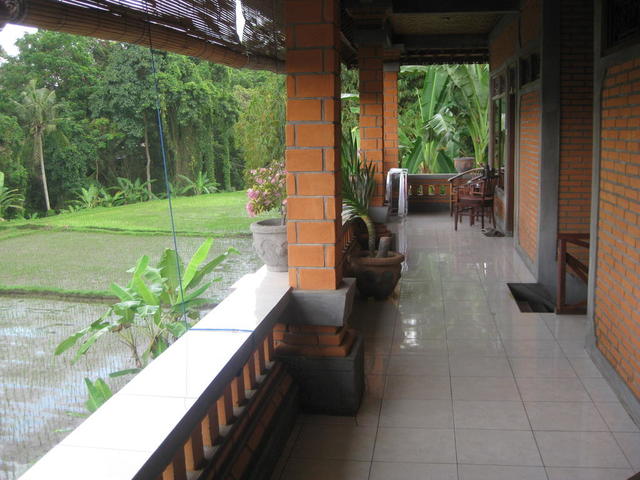 фотографии отеля Ubud Sensasi Bungalows изображение №11