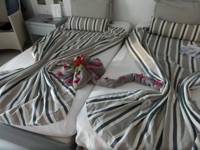 фотографии LTI Djerba Plaza Thalasso & Spa изображение №24