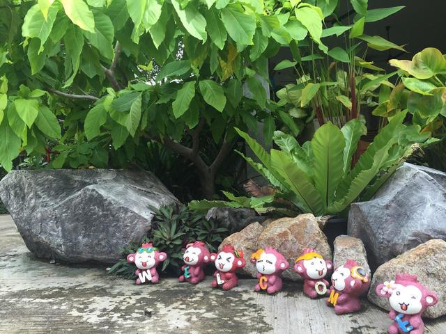 фотографии Baan Suan Ta изображение №24