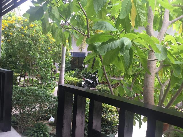 фотографии отеля Baan Suan Ta изображение №11