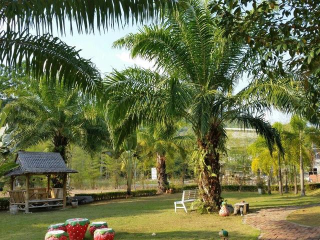 фото отеля Rangsiman Resort изображение №17