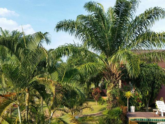 фотографии отеля Rangsiman Resort изображение №15