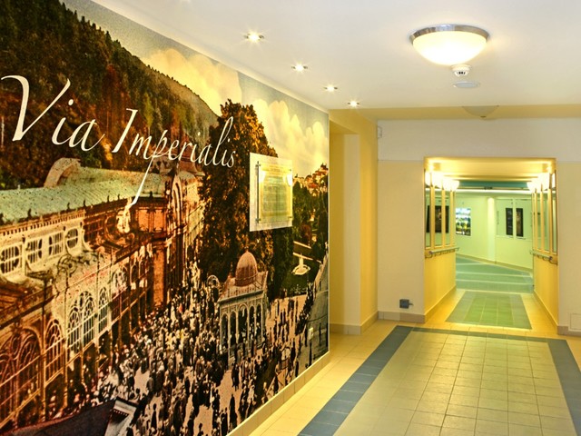 фото отеля Danubius Health Spa Resort Hvezda-Imperial изображение №29