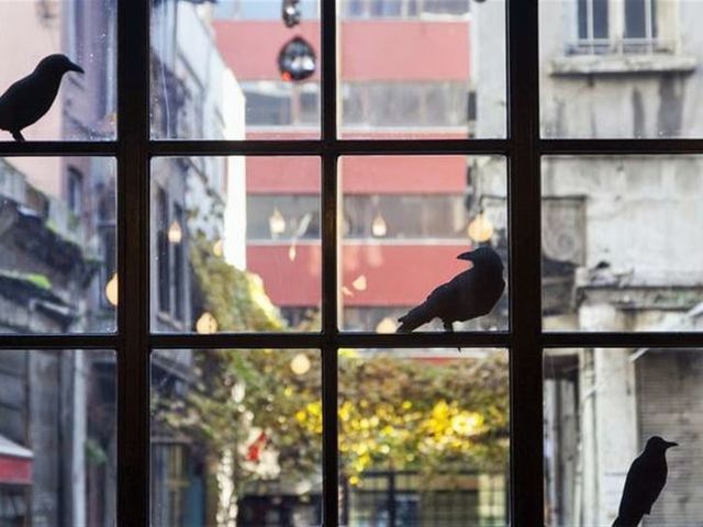 фотографии SuB Karakoy изображение №16