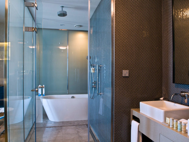 фотографии отеля Radisson Blu Hotel Istanbul Asia изображение №3