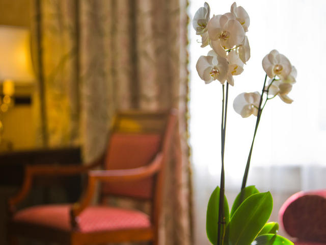 фото отеля Disneyland Hotel изображение №37
