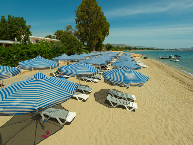 фотографии Golden Coast Hotel & Bungalows изображение №8
