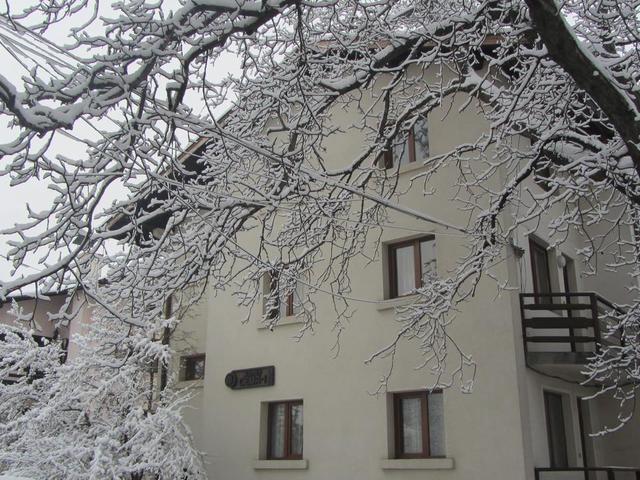 фотографии Sema (Сема) изображение №24