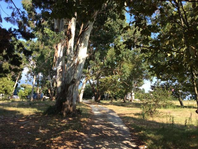 фото отеля Клубный Отель Берег Эвкалиптов (Club Hotel Bereg Evkaliptov) изображение №81