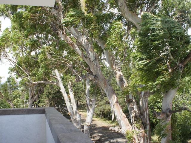 фотографии отеля Клубный Отель Берег Эвкалиптов (Club Hotel Bereg Evkaliptov) изображение №79