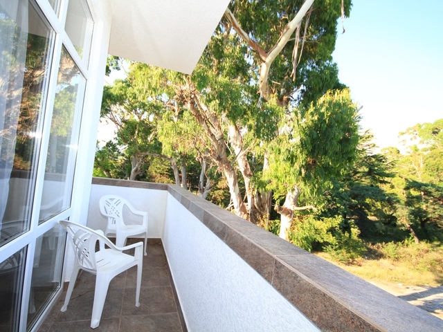 фотографии отеля Клубный Отель Берег Эвкалиптов (Club Hotel Bereg Evkaliptov) изображение №67