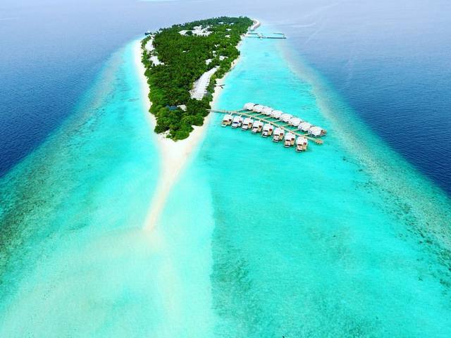 фотографии отеля Dhigali Maldives изображение №31