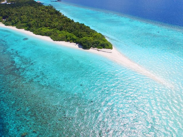 фотографии отеля Dhigali Maldives изображение №23
