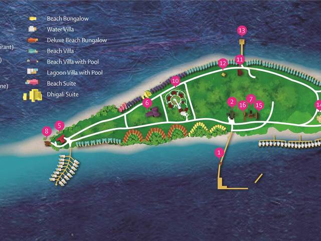 фото Dhigali Maldives изображение №18