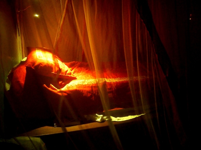 фото Emerson on Hurumzi (ex. 236 Hurumzi) изображение №26